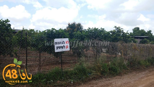 khaima i3tesam3j (10).JPG